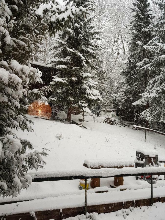 Ferienwohnungen Albstadt Extérieur photo